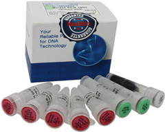 HelixAmp ��ֲ����ѪҺ�ӱ�ֱ�� RT-PCRԇ����