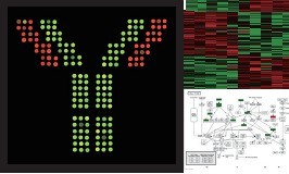 ScioCD���������ӛ�CD���ӣ����_�V���wоƬ